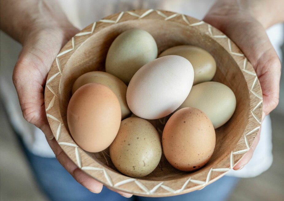 <b>SELVFORSYNT:</b> Lill Ann bygget hønsehus da hun flyttet hit, og nå er hun selvforsynt med egg.
