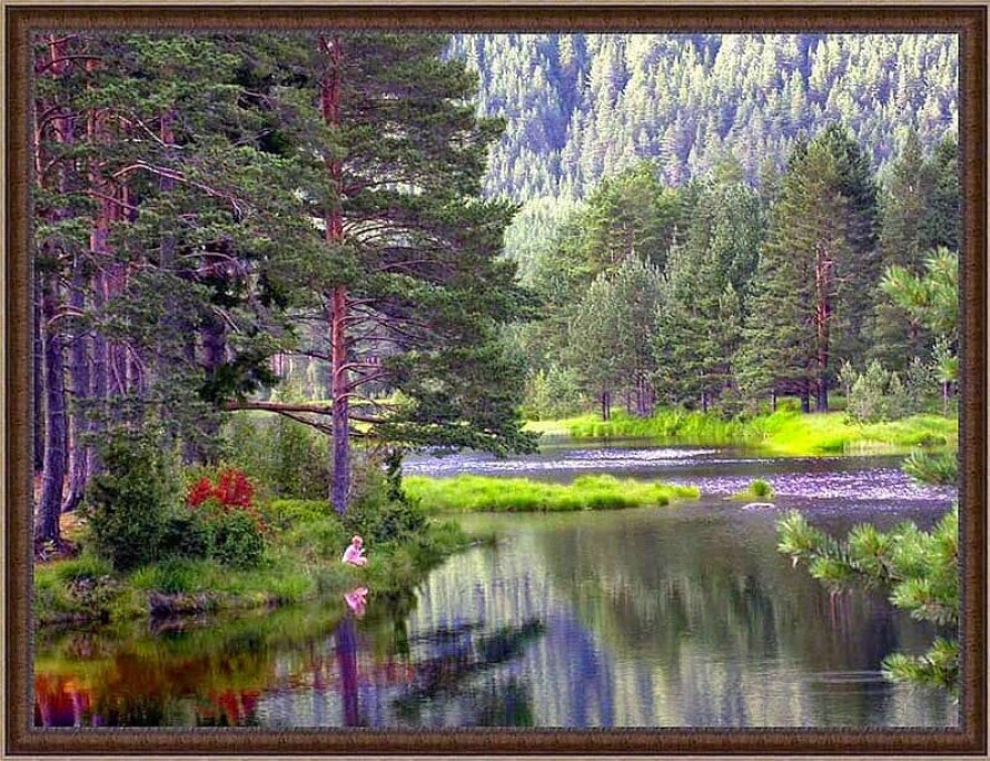 BLE STARTEN PÅ HOBBYEN: Dette nasjonalromantiske bildet er tatt på Vestlandet. Det ble sendt inn til en konkurranse på Nitimen på NRK P1 i 2004 og valgt ut til dagens bilde. Senere ble det valgt ut til å henge på en større plakat foran Rådhuset i Oslo.