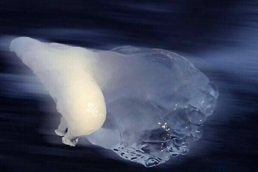 FROSSEN FUGL? Turid går ofte tur ved Østensjøvannet i Oslo og nylig la hun merke til denne merkverdige is-formasjonen. Jeg synes det så litt ut som en fugl, så da måtte jeg ta bilde av den, sier Turid.