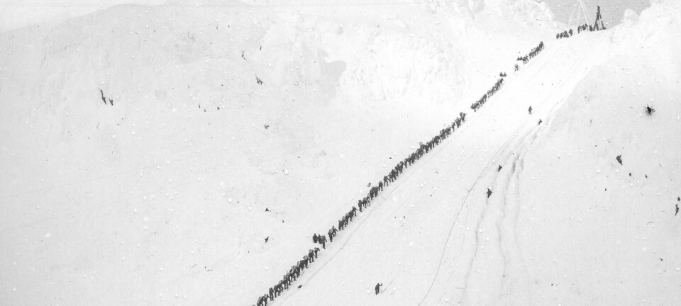 Lykkejegerne stod i kø – mange av dem til sin undergang: − De døde måtte stables i hauger