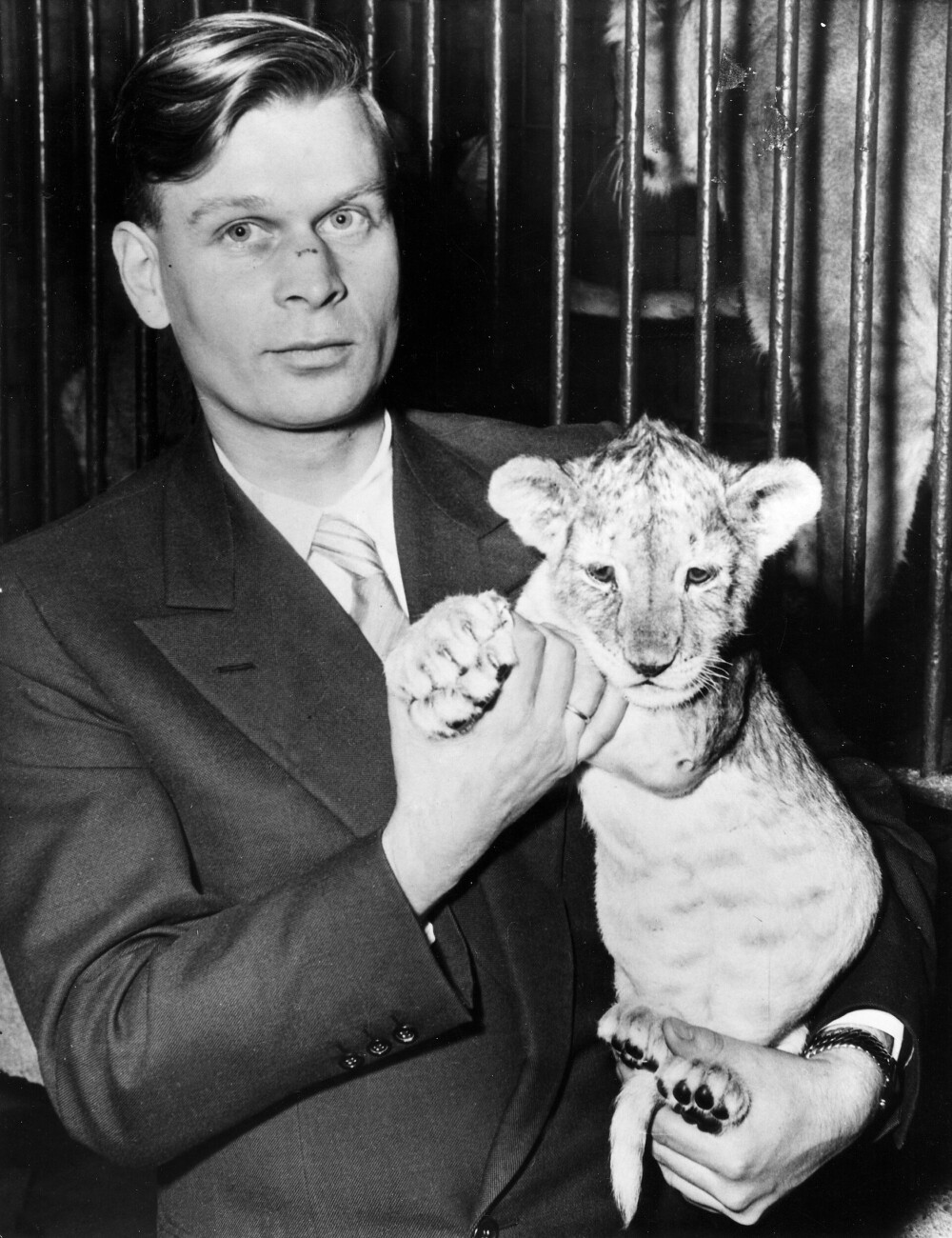 <b>FERSK ZOO-DIREKTØR: </b>En ung Heinz-Georg Klös i 1957, med en løve­unge på armen.