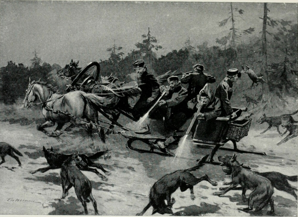<b>LOKKEJAKT:</b> Ulven var ikke spesielt redd for mennesker i Russland på slutten av 1800-tallet, og jegere kunne forskanse seg på en hestetrukken slede, og vente til ulven gikk til angrep.