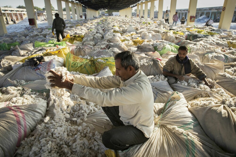 <b>FLUFFER OPP:</b> Bomullsselgere på markedet i Babra i Gujarat jobber for å gjøre varene sine mer attraktive for kjøperne.