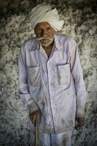 <b>HÅPER PÅ PRISSTIGNING:</b> Bomullsbonde Jahabai Hasura (90) og hans arbeidere har høstet en stor haug bomull fra jordene hans, men han nøler med å selge i håp om at prisene skal stige.