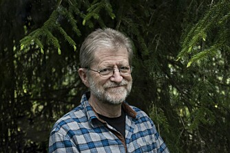<b>FORFATTER:</b> Ingar Kaldal er professor i historie ved NTNU og er forfatter av boken «Skogens menn». 