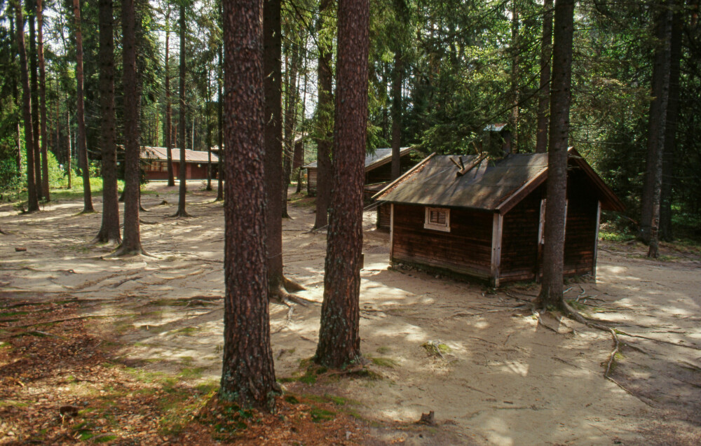 <b>KOIESAMLING:</b> På Prestøya ved Elverum har Skogmuseet en praktfull samling av skogskoier. 