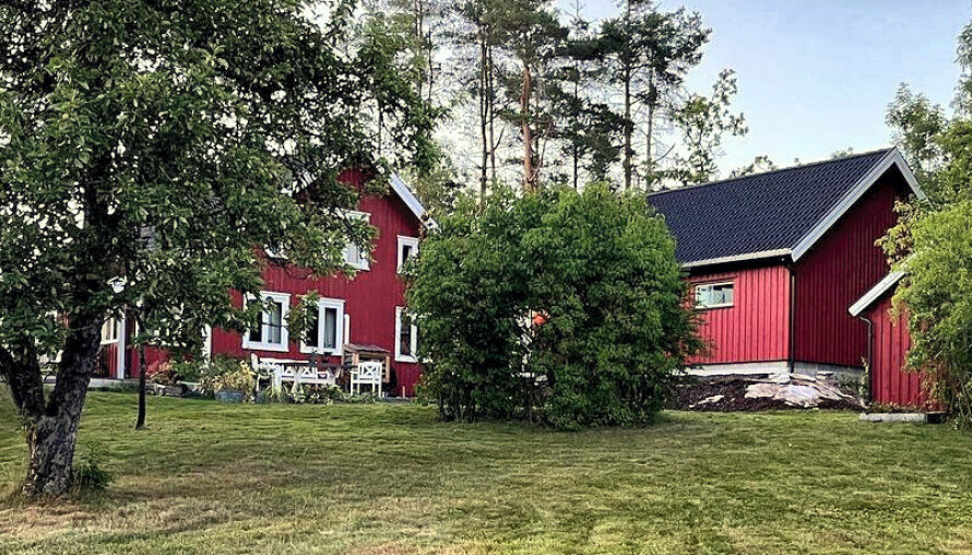 HUSET I SKOGEN: Vibecke glemte aldri Nistua, det røde, lille drømmehuset som ligger så idyllisk til inne i skogen.