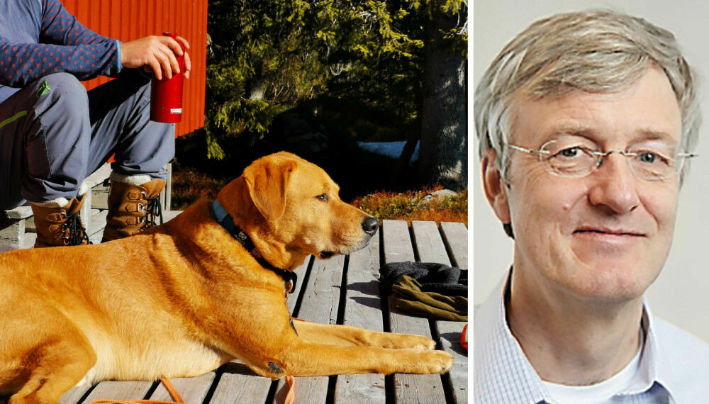 IKKE VELKOMMEN: Advokat Harald Ramm i Langseth Advokatfirma svarer på spørsmål om hund i hyttesameie.