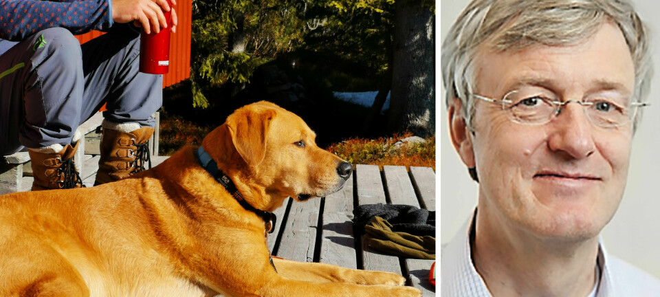 Kan hunden utestenges fra hytta?