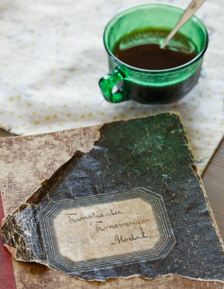 DYREBARE MINNER: Dagboken etter bestemor Anna, som mange har skrevet hilsninger i, er nå blitt til hyttebok. De grønne koppene serverte Anna ofte kaffe i.