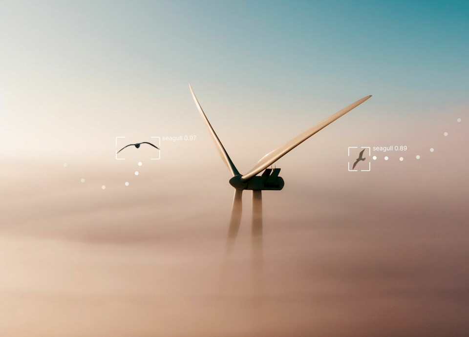 OPTIMAL PLASSERING: Ved hjelp av kunstig intelligens vil systemet til Spoor beregne den mest optimale plassering for vindturbiner til havs. Desimaltallene i illustrasjonen viser hvor sannsynlig det er at modellen registrerer innkomne fugler, 1 er helt sikker.