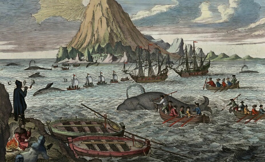 <b>HVALFANGST:</b> Vi vet at Jens Munk var i Spania for å rekruttere baskere til den dansk-norske hvalfangsten. Han konfiskerte også last og skip til baskere som drev ulovlig hvalfangst langs finnmarkskysten. Tegningen skal vise hvalfangst ved Jan Mayen på 1600-tallet.