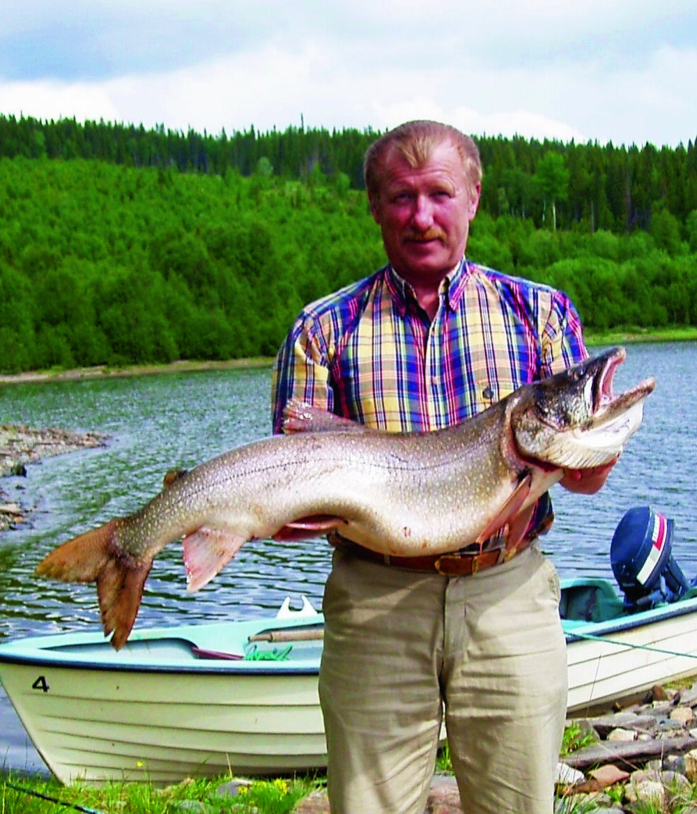 <b>KANADARØYAS OVERMANN:</b> Arne Kvemo, bosatt ved Kvesjøen i Lierne, har fått kanadarøye opp i 11,6 kilo i garn, og har mistet en fisk han anslo til minst 15 kilo.