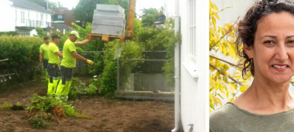 Slottsgartneren byttet ut plenen med stein og heller. Sjekk resultatet