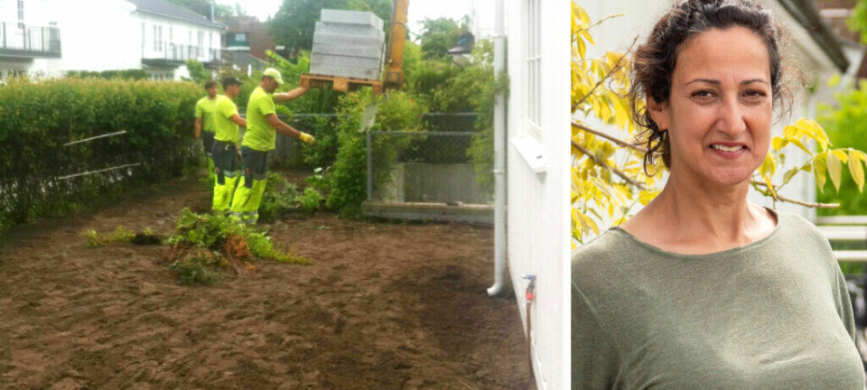 Slottsgartneren byttet ut plenen med stein og heller. Sjekk resultatet
