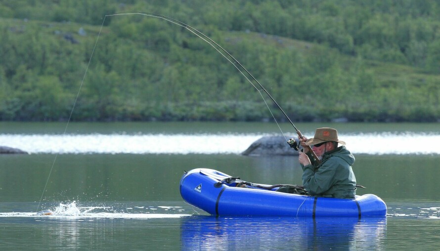 FARLIG NÆR: Kroken løsner lett når fisken plasker i overflaten på kort line. Her gjelder det å minske presset og helst la fisken få ta et utras til den er mer sliten og klar for håving.