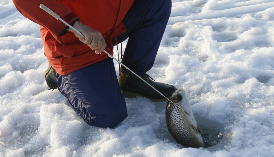 PRAKTISK: En slik miniklepp er lurt å ta med på isfiske.