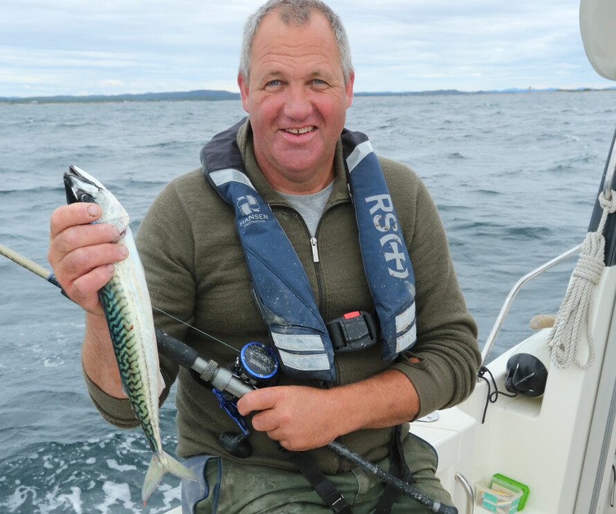 MAKRELL: Blant sportsfiskene våre, er en av de vanligste også en av de feiteste, nemlig makrellen.