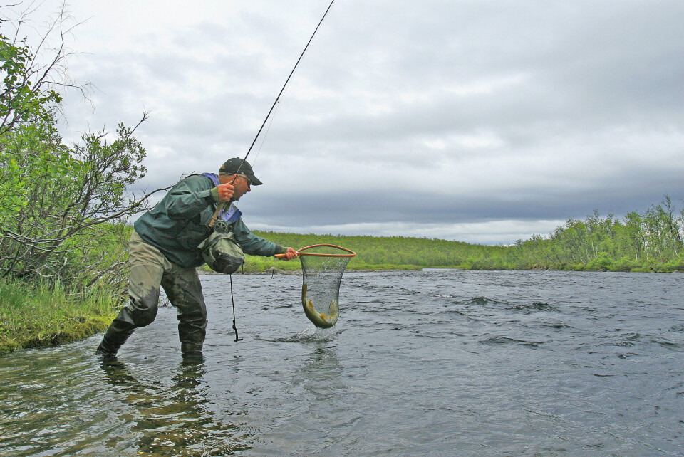 LANDET: Fisken er landet med håven og middagen sikret.