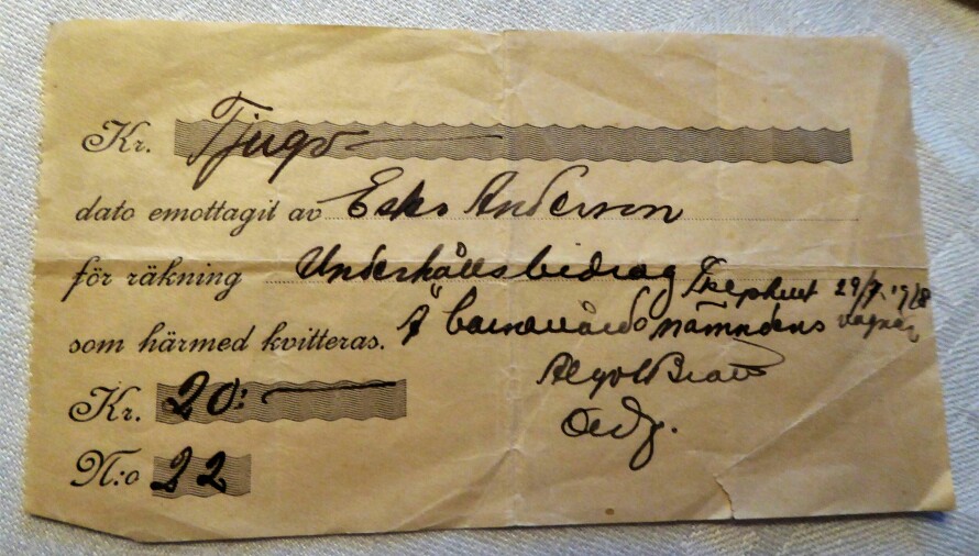 SOLGT: Fosterforeldrene fikk 20 kroner i underholdningsbidrag i året for å ta hånd om Ester.