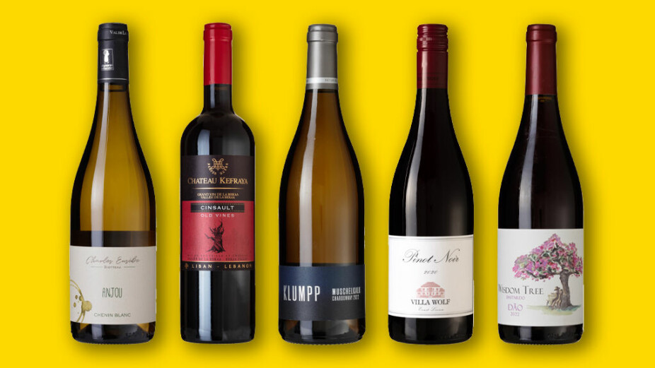 FEM GODE KJØP: Blant de fem beste vinkjøpene finner vi viner fra Portugal, Tyskland, Frankrike og Libanon - tre røde og to hvite.