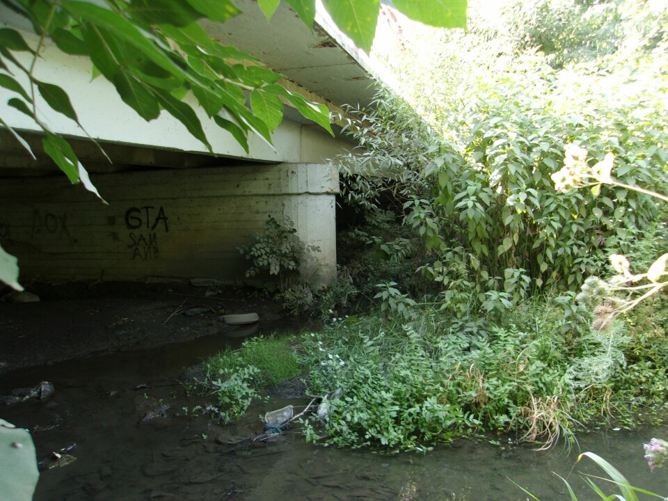 FUNNSTEDET: Under denne broa ble det første offeret, Yelena Zakotnova, funnet