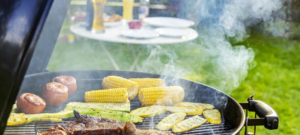 – Naboen klager på grillrøyk