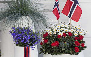 Gjør inngangspartiet litt ekstra staselig med litt levende blomster og vaiende flagg. Foto: Mester Grønn