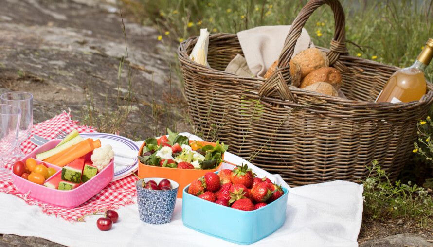 HYGGELIG: Det er ingenting i veien for å ta med lunsjen ut i det fri.