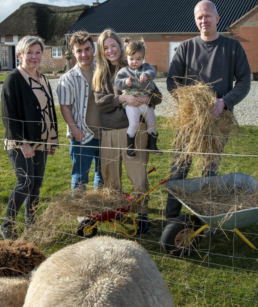 DYREGLAD FAMILIE: Tre generasjoner gleder seg over sitt nye og mer landlige liv. Sauer som beiter rett utenfor huset – sånntno ha'kke vi i by'n.