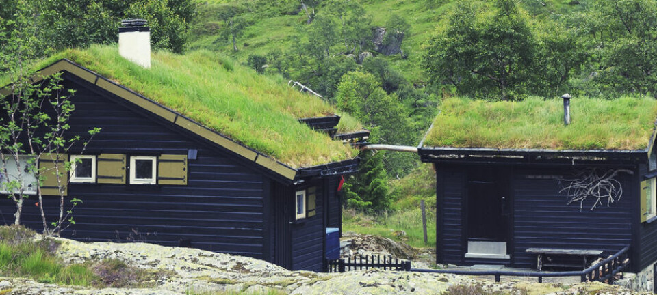 Kommunen hevder annekset er ulovlig bygget og krever at vi river det. Hva gjør vi?