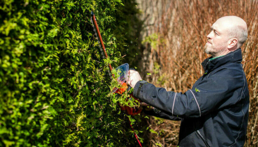 HVORDAN KLIPPE TUJAHEKK: Hvis du vil ha en pen tujahekk, er det viktig at du beskjærer sidene et par ganger i året. Her er gartner Dagfinn Ødegård i Grønt Grep avbildet ved en tidligere anledning.