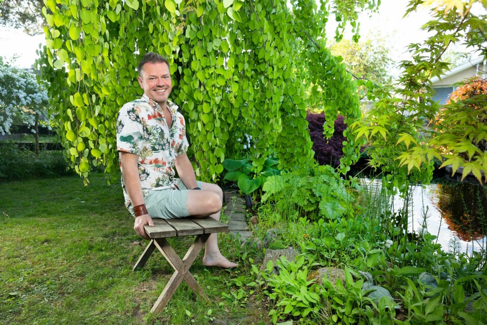 FJELLGRUNN: Espen og Frode kjøpte huset på vinteren og visste ikke at under snøen var det for det meste fjell. Det er vanskelig å forestille seg i dag. Her sitter Espen under parets japanske hjertetre.