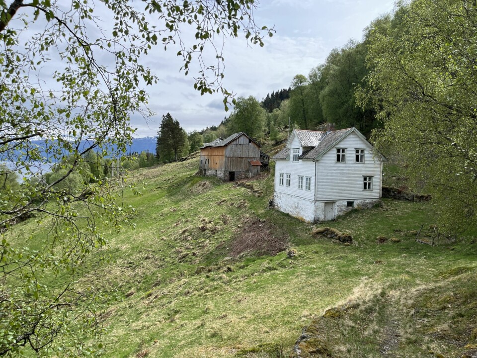 HANEKAM: Bruk to på Hanekam har stått tomt siden eieren døde brått i 1982.