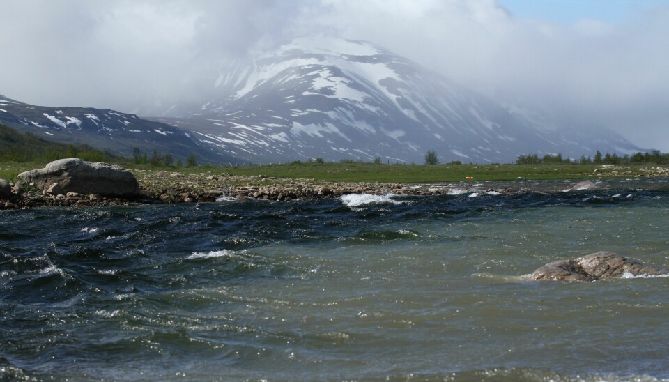 KRAFTIG VIND: Også i kraftig vind kan fisken bite. Pålandsvind kan være gunstig hvis vannet ellers er kaldt og sola varmer overflatevannet.