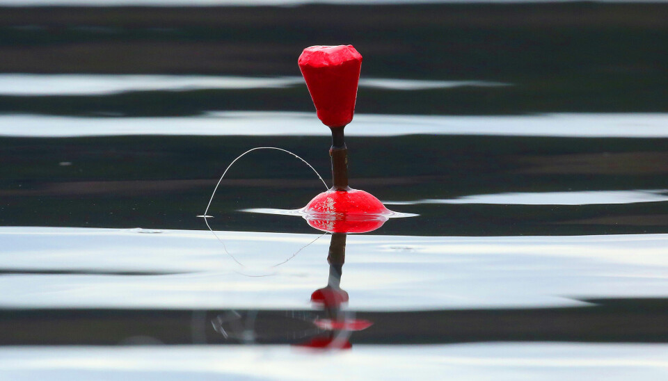 UTSETT: Fisker du med dupp og mark i fralandsvind der det er åpent, fra et nes eller ei øy, vil bølgene føre duppen stadig lenger fra land. Et langt bedre alternativ enn i motvind.