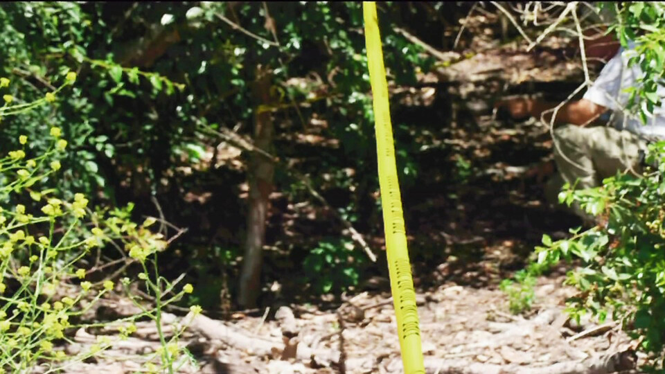 LEVNINGER: Sam Herrs døde kropp ble funnet i en park i nærheten.