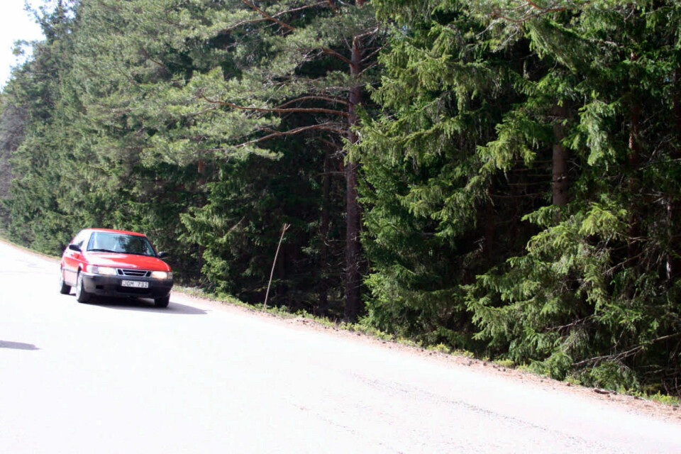 SATTE POLITIET PÅ SPORET: Hobbyfotografen knipset også dette bildet av en rød Saab. Inni satt en mann som tidligere var dømt for sexovergrep, og nå hadde sett seg ut et tilfeldig offer; ti år gamle Engla Höglund.