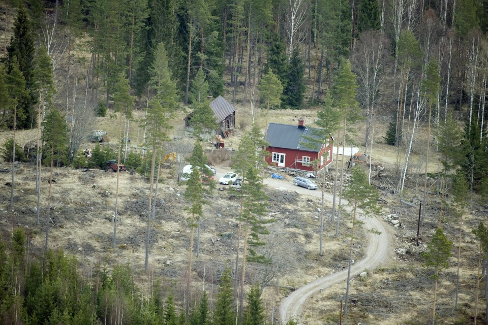 STOPPET PÅ VEI HJEM: Engla var bare noen få hundre meter unna familiehjemmet, da hennes drapsmann oppsøkte henne på skogsbilveien.