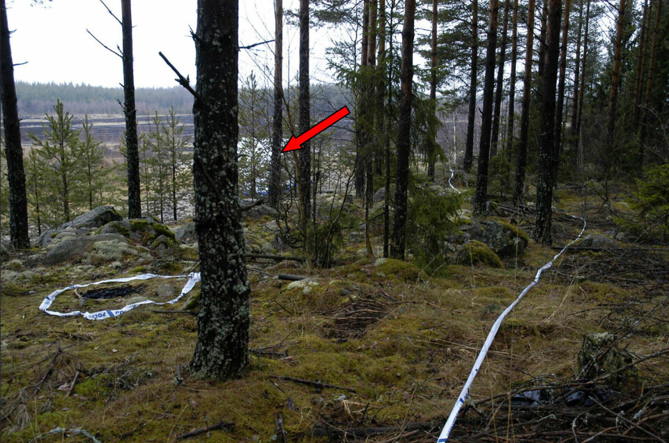 FUNNSTEDET: Bildet viser stedet hvor Engla ble funnet.