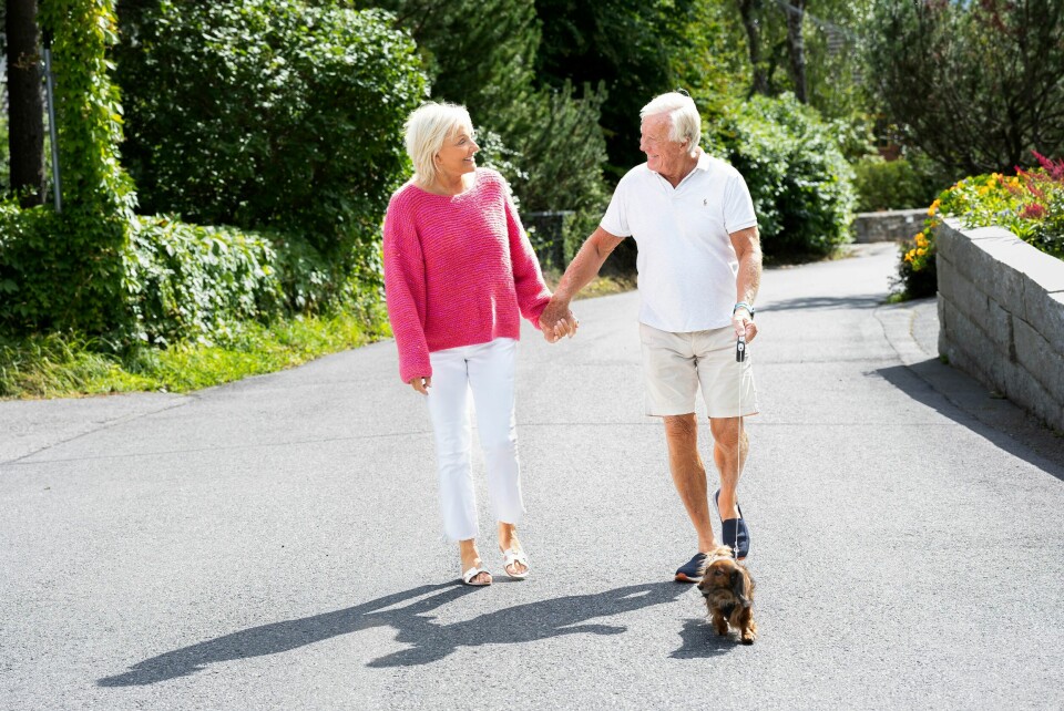 TRE PÅ TUR: Dachsen Dina (9) drives best når både matmor Inger og matfar Oddvar går tur sammen med henne.
