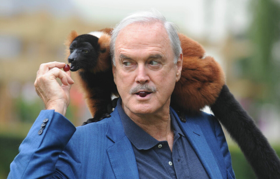 DYREVENN: John Cleese er så opptatt av lemurer at han har fått en egen art på Madagaskar oppkalt etter seg! Her mater han lemuren Colin under et besøk i Bristol Zoo Gardens i 2008.