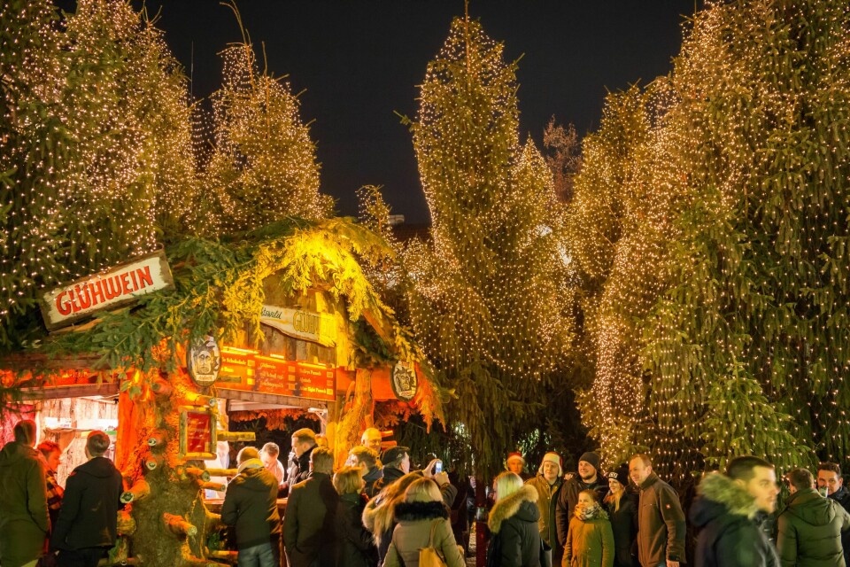 GOSLAR: Juleskog med velduftende skogbunn.
