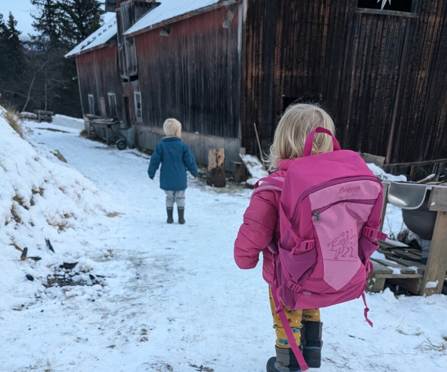 GÅR BAKKEN SELV: Eldstegutten Emil på 3,5 år klarer nå å gå opp Brekkebakkane selv, noe som gjør hverdagen litt enklere for foreldrene som leverer og henter i barnehagen noen kilometer unna.