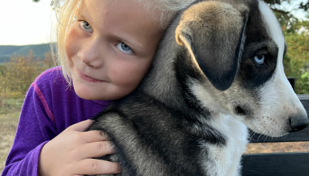 DYREKJÆR: Jenny på fem år savner hunden hun har hjemme på Bryne. Heldigvis får hun trøst av naboens hund langt nord i Karasjok.