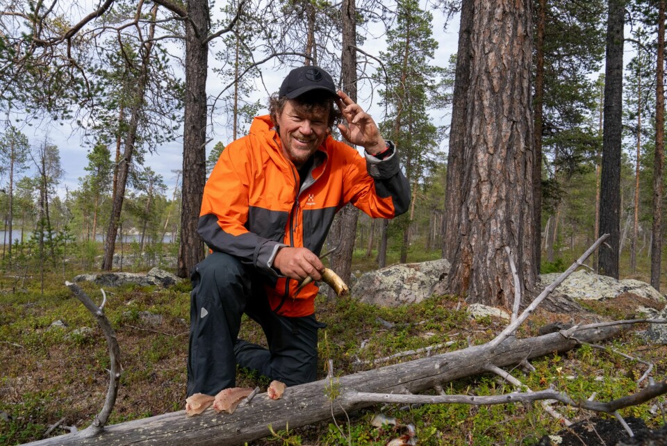 BJØRN: Her er Monsen på tur i Øvre Pasvik. Dette er et av hans favorittområder, og her følger han bjørnens rytme.