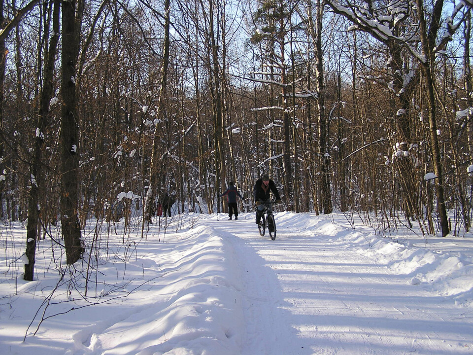 BYSKOG: Bitsa park syd i Moskva bød på skjulesteder og tumleplass for fugler, dyr, turgjengere − og en seriemorder.