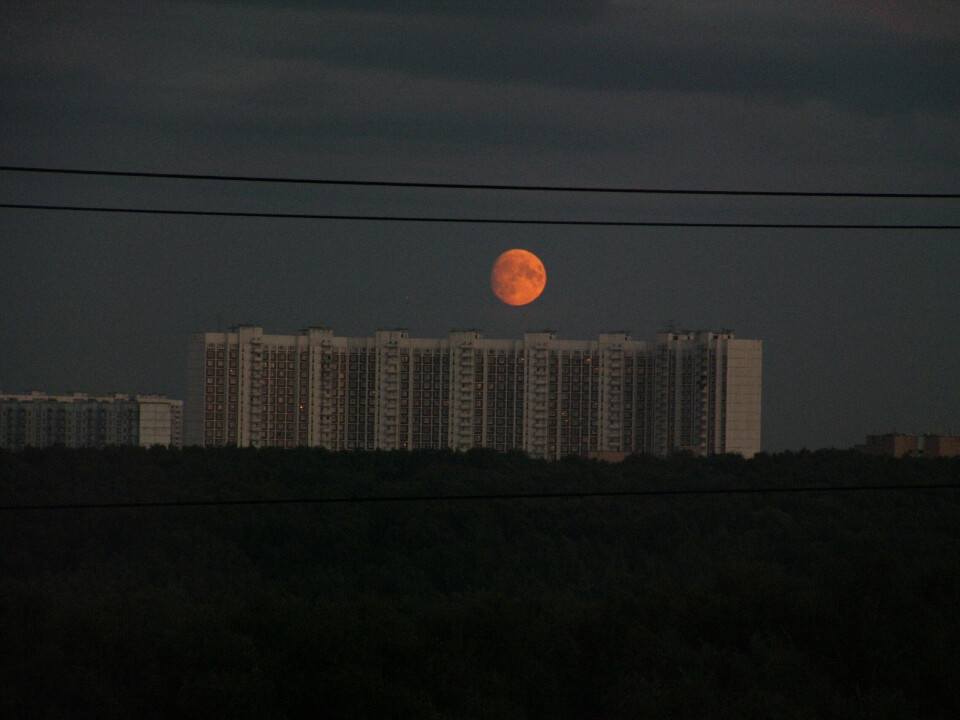 OPPVOKST I NÆRHETEN: I boligblokker like nord for Bitsa park vokste Alexander Pitjusjkin opp med sin mor før han flyttet til sin bestefar.