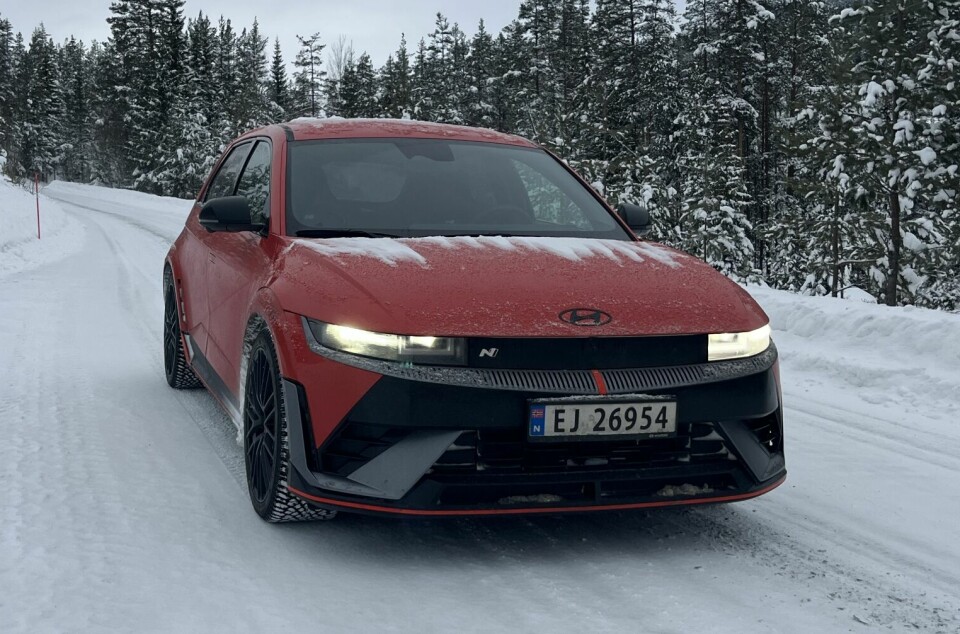 Denne hermegåsa narrer oss på en måte som vi liker