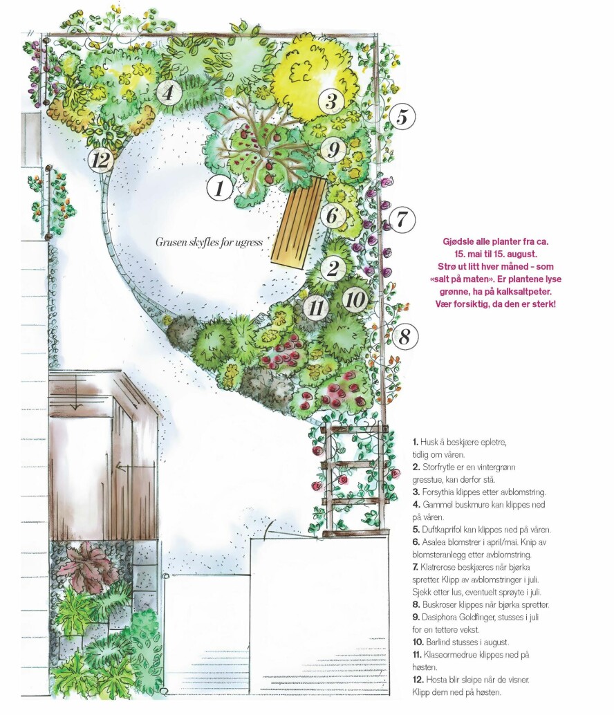 HAGEKART: Hagedesigner Kristin Granum Skogen liker å tegne en tegning av hagen som hun oppdaterer med ting som må gjøres hvor og når. Om du ikke liker å tegne, bør du i alle fall skrive ned en plan, anbefaler hun